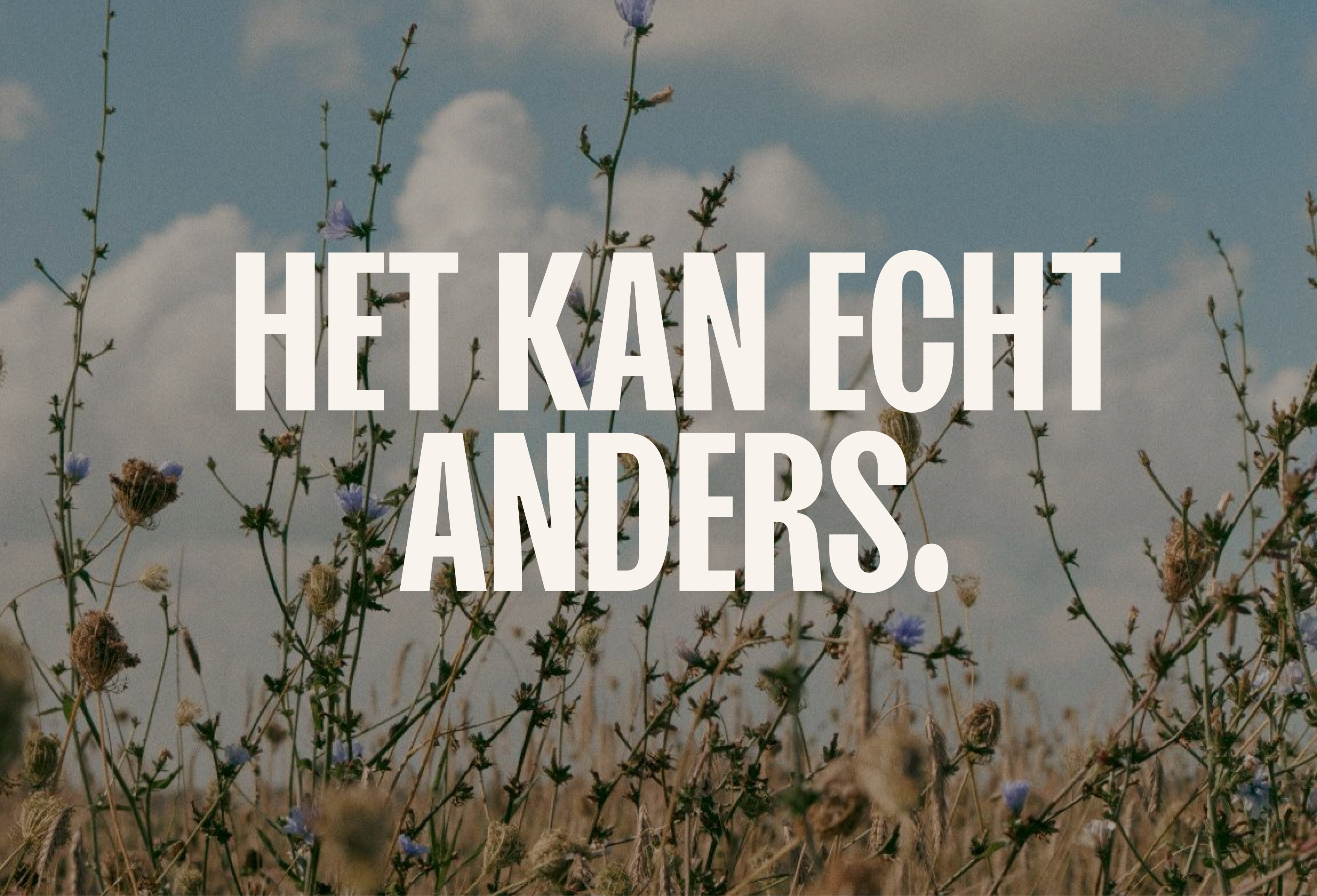 Botmas:Hoe je biologisch eten online verpakt in digitaal ontwerp