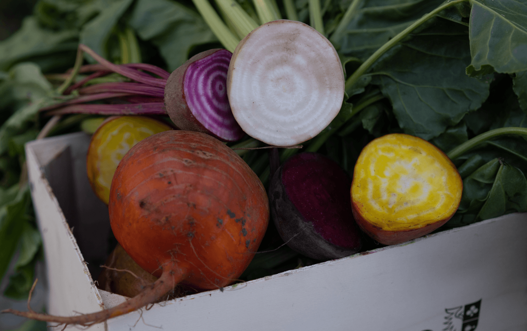 Fresh food